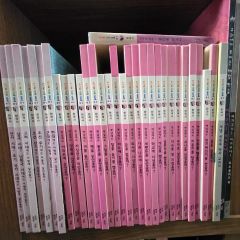 【24冊セット】秋野ひとみ 講談社X文庫 ティーンズハート つかまえてシリーズ 24冊セット】秋野ひとみ 講談社X文庫 ティーンズハート つかまえて