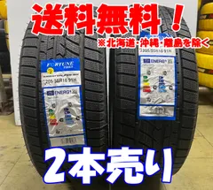 2本売り！アウトレット！2022年製 Fortune（フォーチュン） FSR-901 205/55R16 91H 新品 スタッドレスタイヤ 残り3本なくなり次第終了！FTS-2のサムネイル