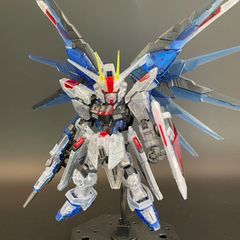 アニメ塗り】HG 1/144 マイティーストライクフリーダム 全塗装済み完成
