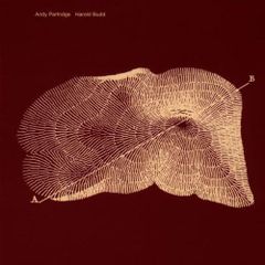 For Real / It's A Natural Thang LP オリジナル - メルカリ