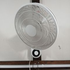 レトロ扇風機 COMMANDER 30cm お座敷扇 C-8715 本体 - メルカリ