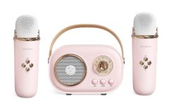 SDRD SD-306 カラオケワイヤレススピーカー - メルカリ