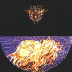【希少帯付】『テンペスト（ Tempest）』日本盤（型番 YZ-13-BZ） 希少【横帯付】『テンペスト（ Tempest）』日本盤（型番 YZ-13-BZ