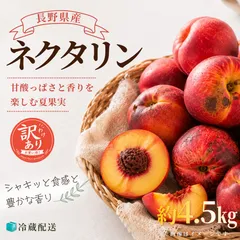 ネクタリン(訳あり品)/約4.5kg/クール便のサムネイル