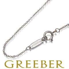 専用出品 ティファニー シルバー ネックレス リンク ワンポイント 細長