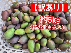 宮崎県産摘果マンゴー グリーンマンゴー5kg② - メルカリ