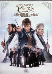 판타스틱 비스트와 검은 마법사의 탄생 [DVD] *