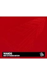 WANDS BEST OF WANDS HISTORY - メルカリ