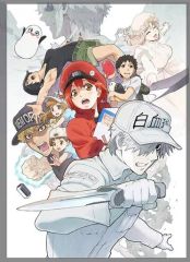 DVD】はたらく細胞 一期 全巻セット + 特別編1枚 - メルカリ