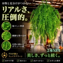 フェイクグリーン 壁掛け 観葉植物 人工植物 ウォールグリーン インテリアグリーン 造花 壁面装飾 水草 壁飾り 北欧 ナチュラルグリーン 壁掛け型 飾り付け ウォールデコ おしゃれ 癒し 吊り下げ グリーン シダ 人工グリーン 観葉植物 造花 ディスプレイのサムネイル