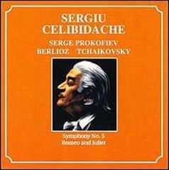 新品未使用Sergiu Celibidache Symphonies 14CD - メルカリ
