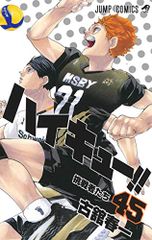 Haikyu!! Vol. 45 (Jump Comics) / Haruichi Furudate