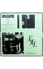 CD／SEVENTEEN／【外箱・フォトブック・ステッカー・フォトカード2種・ブックマーク・折り込ポスター付】FML Version A