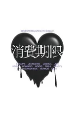 CD／SEVENTEEN／【フォトブックA・セルフィフォトカードA・フォトカードA付】消費期限 初回限定盤A