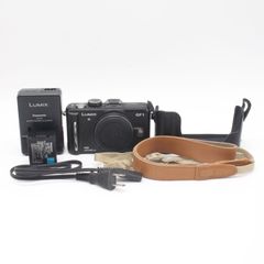 LUMIX DMC-GF1 14-45 レンズキット LVF1&レザーケース - メルカリ
