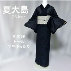 絽 江戸小紋 フルセット 夏帯付 洗える着物 シルクタッチ 美品　夏着物　薄物 絽 江戸小紋 フルセット 夏帯付 洗える着物 シルクタッチ 美品 夏着物
