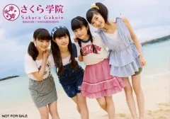 中古】生写真(女性) さくら学院/菊地最愛・水野由結・田口華・野津友那