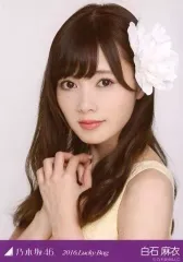 2026年最新】白石麻衣生写真の人気アイテム - メルカリ