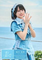 中古】バッジ・ピンズ パラチア(日向大和) 「うたの☆プリンスさまっ