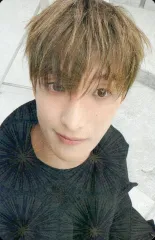 【中古】コレクションカード(男性) SEVENTEEN/ドギョム(DK)/ホログラム仕様/DxS 1st Mini Album「Serenade」(BLUE/ECHO Ver.)SEVENTEEN Weverse Shop特典ホログラム入りフォトカード