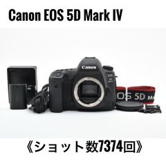 キヤノン Canon EOS M100 EF-M 15-45mm IS STM ミラーレス一眼 - メルカリ