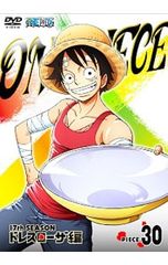 DVD／ONE PIECE ワンピース〜17thシーズン ドレスローザ編 piece.30
