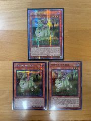 遊戯王 旧アジア デス・コアラ3枚セット - メルカリ