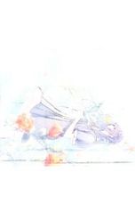 CD/나즈카 카오리/[4CD]FLOWERS 오리지널 사운드 드라마 CD[스트레리치아의 꽃말]