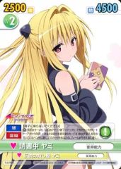2 ヴィクトリースパーク ToLOVEる ダークネス ヤミ - メルカリ