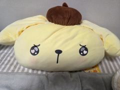 キイロイトリ もちもちドーナツ ぬいぐるみ 半円クッション リラックマ キイロイトリ もちもち ドーナツ ぬいぐるみ 半円