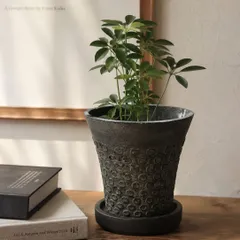植木鉢 花器 陶器 黒  底穴あり 受け皿付き 外寸15cm 高さ14cm塊根植物 多肉植物 観葉植物