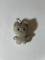 黒川想矢 ぬいぐるみ 韓国 猫 黒川想矢 ねこ ぬいぐるみ - メルカリ