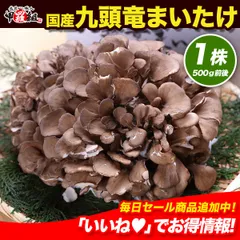 🗾福井県産 九頭竜まいたけ１株 (500ｇ前後) 国産 産地直送 きのこ 野菜 舞茸 マイタケ 産直 【祖の食庵】 【甲羅組】産直のサムネイル