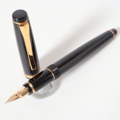 パイロット 万年筆 エラボー SF(細字軟) 異次元のしなやかさ！一度触れたら戻れない魅力 #50｜りい ~ first