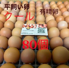 ふたご卵50個⭕️クール便 ふたご卵50個⭕️クール便 - メルカリ