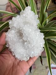 強力浄化】希少！虹入り⭐菊花水晶クラスター （大）N192 - メルカリ
