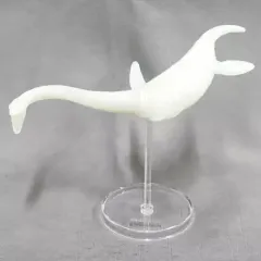 【中古】トレーディングフィギュア エラスモサウルス(無彩色蓄光) 「水中最強王図鑑 リアルフィギュア＆リーフ」のサムネイル