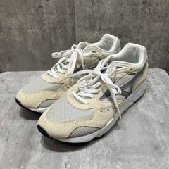 限定コラボ】ミズノ ウェーブ ライダー ベータ ビームス D1GD232801