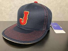 Richard様専用 盛岡大附属 高校野球 メッシュキャップ 練習用 - メルカリ