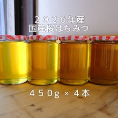 ニホンミツバチの蜂蜜 wp.jumbo.100kg様専用 食品