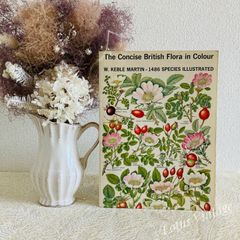 WILD FLOWERSꕤイギリス野の花図鑑ꕤ1600のイラスト ボタニカル洋書 