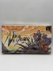 極希少】WS ワンダースワンカラーソフト 魔界塔士サ・ガ - メルカリ