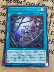 ブラックガーデン ウルトラ【遊戯王 本格構築 YPS ブラックローズドラゴン】