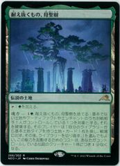 MTG/日本語版/耐え抜くもの、母聖樹/Boseiju, Who Endures/神河
