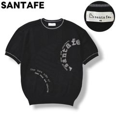 サンタフェ 希少 半袖トレーナー バックロゴ 刺繍 オーバーサイズ ゆる