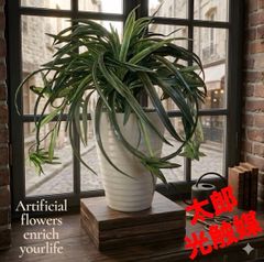 光触媒 人工観葉植物 ウォールグリーン フェイクグリーン クワズイモ