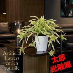 光触媒 人工観葉植物 ウォールグリーン フェイクグリーン クワズイモ