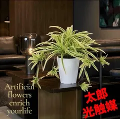 光触媒　人工観葉植物　ウォールグリーン　フェイクグリーン　オリヅルランg/y@@のサムネイル
