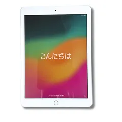 iPad 第6世代 32GB Wi-Fiモデル シルバー 充電回数3回 バッテリー100%
