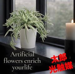 光触媒　人工観葉植物　ウォールグリーン　フェイクグリーン　クワズイモシングル70 光触媒 人工観葉植物 ウォールグリーン フェイクグリーン クワズイモ